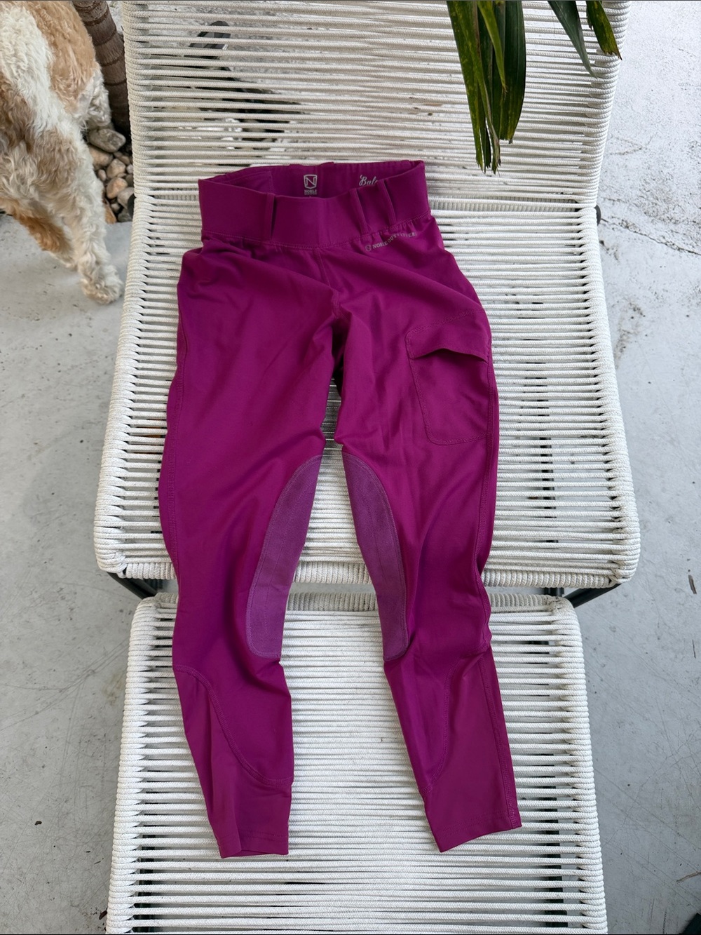 Magenta Equestrian Riding Breeches with Suede Knee Patches